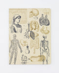 Nursing Softcover - Lined Cognitive Surplus