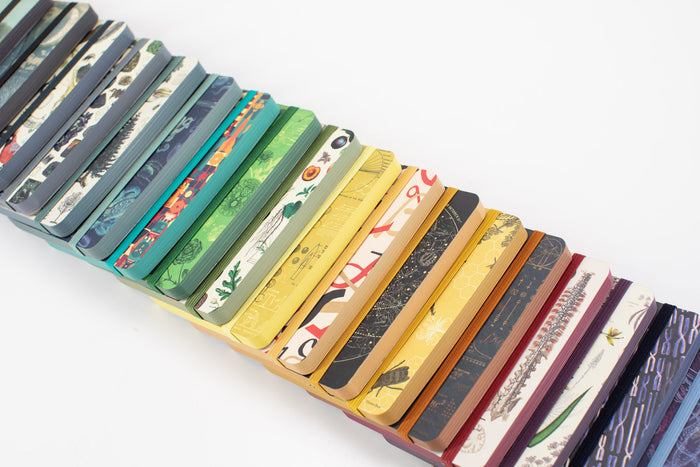 Observation Mystery Notebook 6-pack