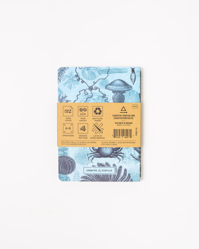 Ocean Pocket Notebook 4-pack
