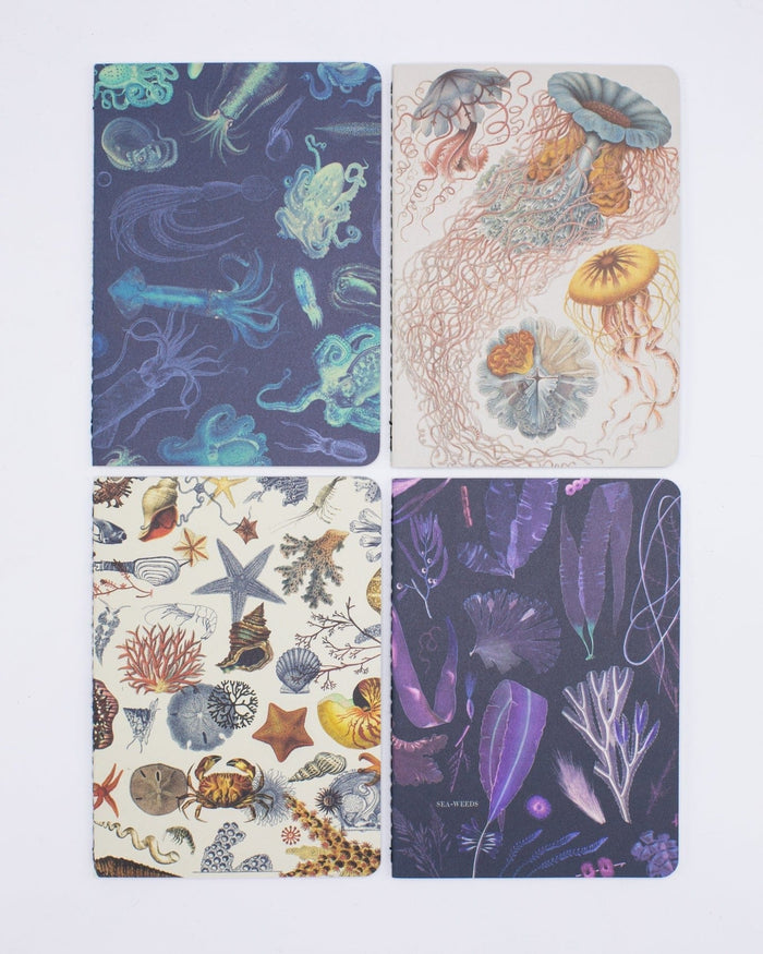 Ocean Pocket Notebook 4-pack Cognitive Surplus