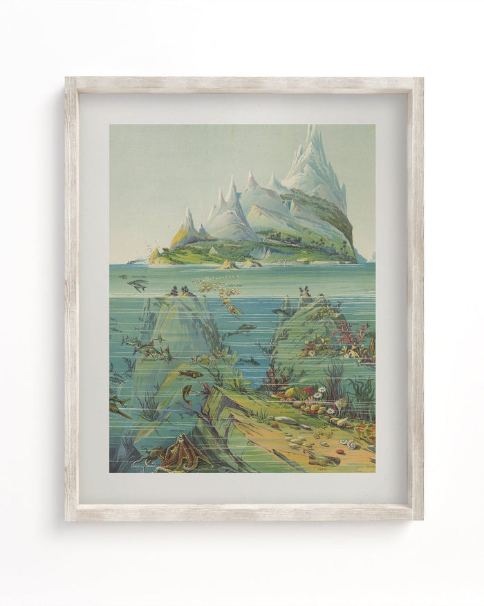 Descending Regions Museum Print Cognitive Surplus