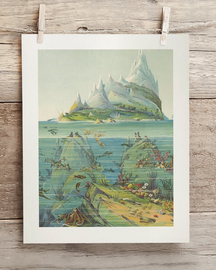 Descending Regions Museum Print Cognitive Surplus