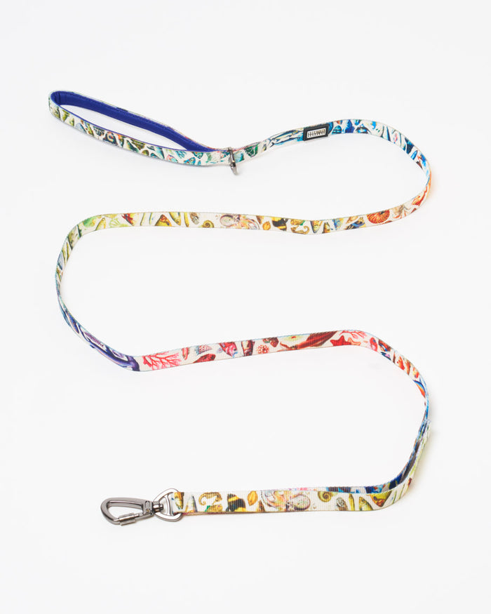 Ocean Science Eco Pet Leash