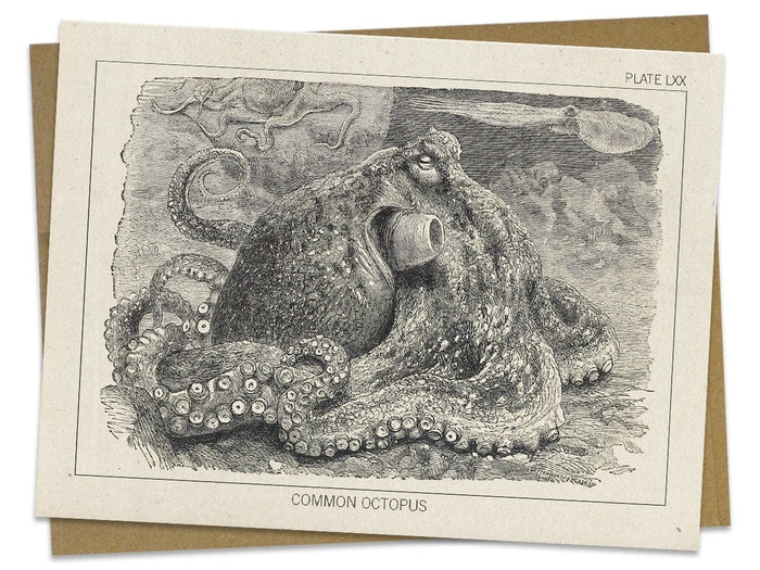 Octopus Specimen Card Cognitive Surplus