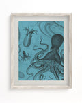 Octopus & Squid Museum Print Cognitive Surplus