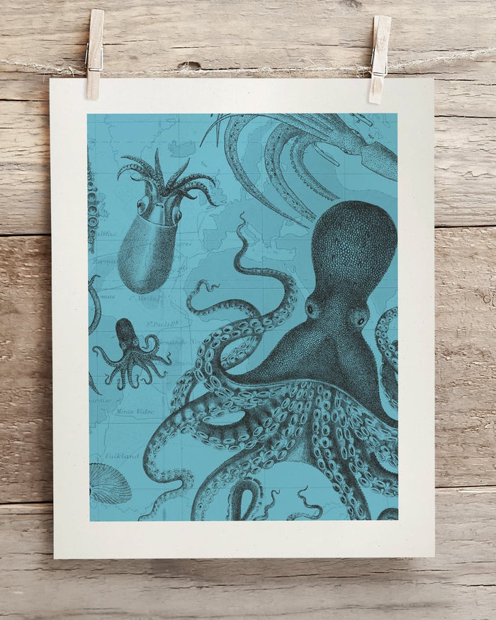Octopus & Squid Museum Print Cognitive Surplus