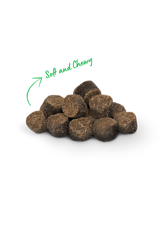 Open Farm Be Good Bites Grass-Fed Beef Treats