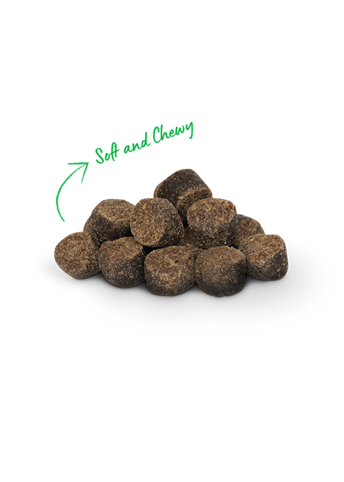 Open Farm Be Good Bites Wild-Caught Salmon Recipe Dog Treats