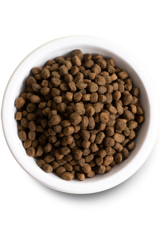 Open Farm Small Breed Ancient Grain Dry Dog Food