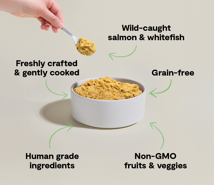 Open Farm Wild-Caught Fish Freshly Crafted Dog Food