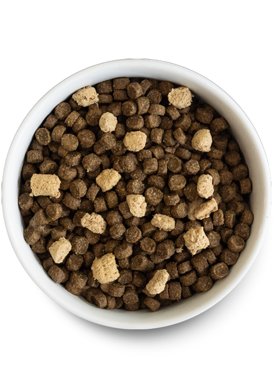Open Farm Wild Ocean Grain-Free RawMix for Dogs