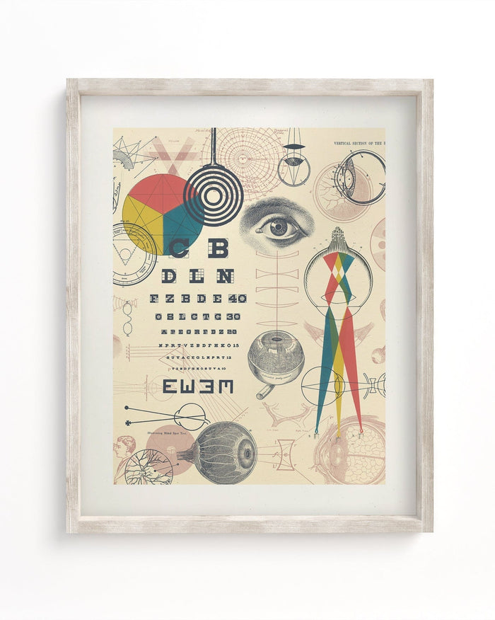 Optics & Sight Museum Print Cognitive Surplus