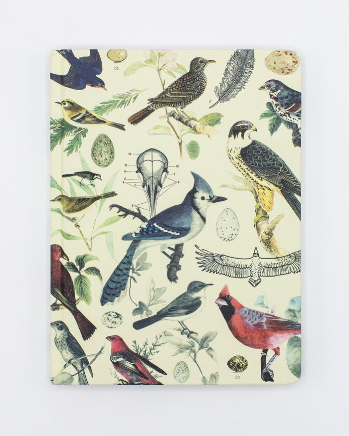 Ornithology: Birds Hardcover - Lined/Grid Cognitive Surplus