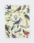 Ornithology: Birds Softcover - Dot Grid Cognitive Surplus