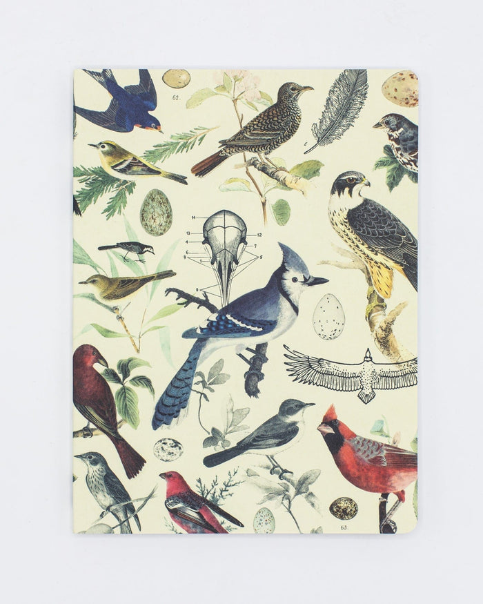 Ornithology: Birds Softcover - Dot Grid Cognitive Surplus