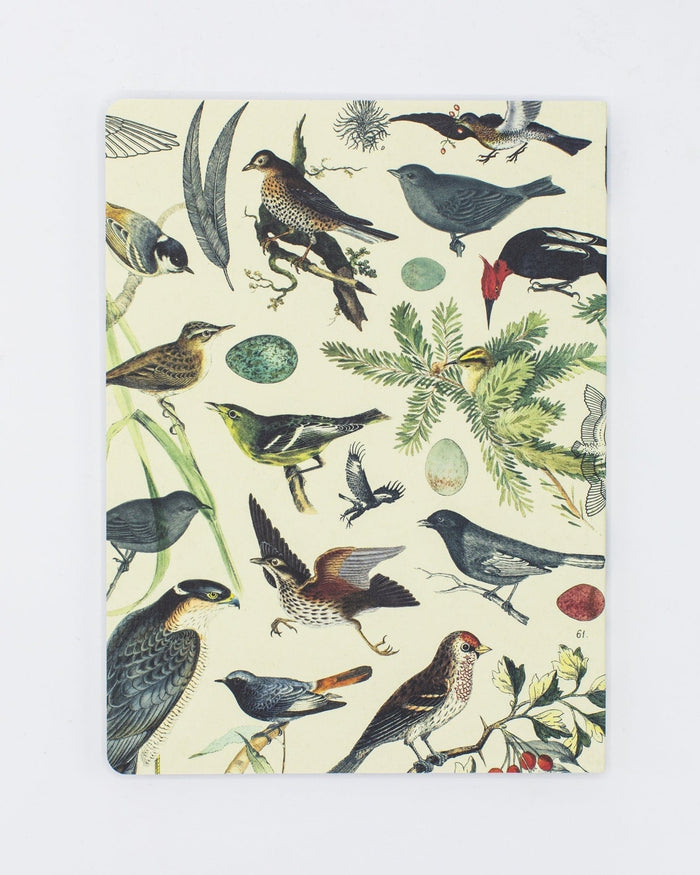 Ornithology: Birds Softcover - Dot Grid Cognitive Surplus