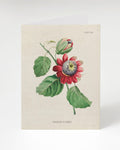 A Cognitive Surplus Passion Flower Greeting Card with an illustration of a passion flower.