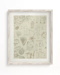Pharmacy Museum Print Cognitive Surplus