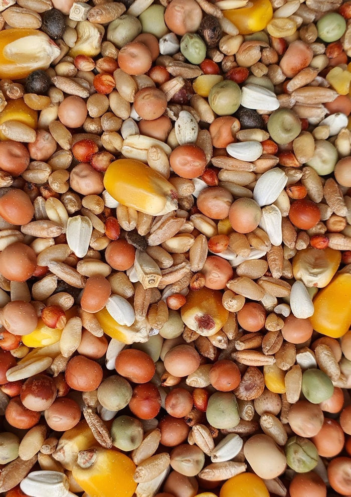 Pigeon Mix - Wanneroo Stockfeeders
