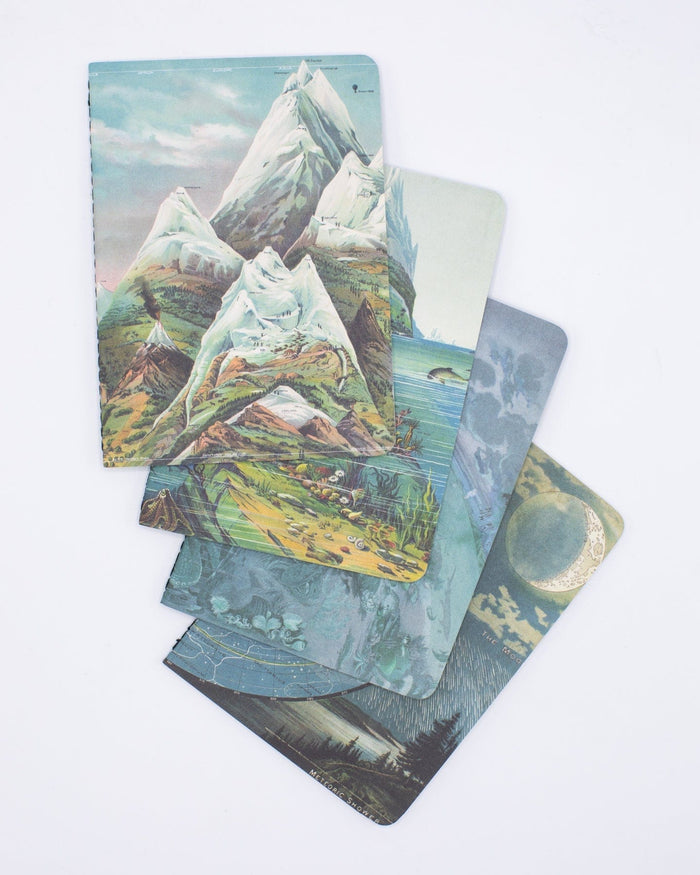 Planet Earth Pocket Notebook 4-pack Cognitive Surplus