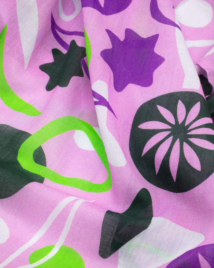 Plankton: Diatoms Scarf Cognitive Surplus