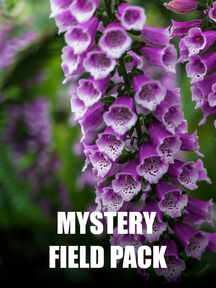 Poisonous Plant Collector Mystery Field Box