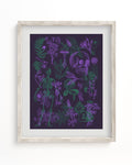 Poisonous Plants Pl 2 Scientific Illustration Museum Print