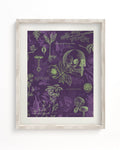 Poisonous Plants Museum Print Cognitive Surplus