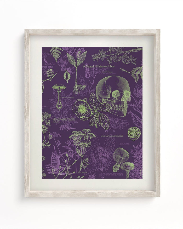 Poisonous Plants Museum Print Cognitive Surplus