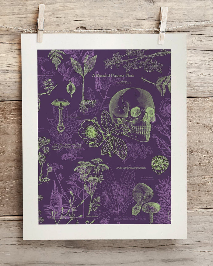 Poisonous Plants Museum Print Cognitive Surplus