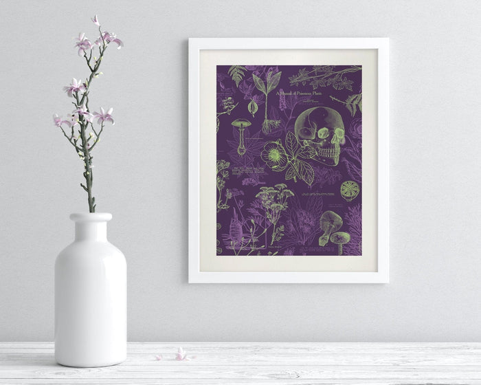 Poisonous Plants Museum Print Cognitive Surplus