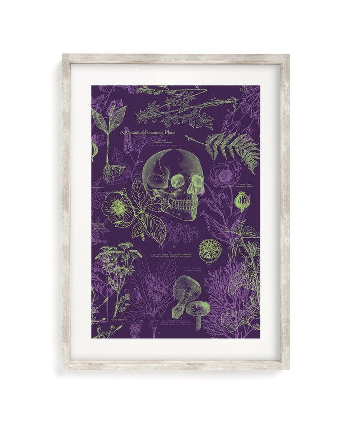 Poisonous Plants Museum Print Cognitive Surplus
