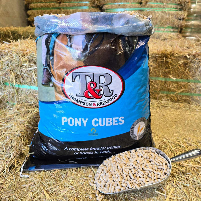 Pony Cubes - Wanneroo Stock Feeders