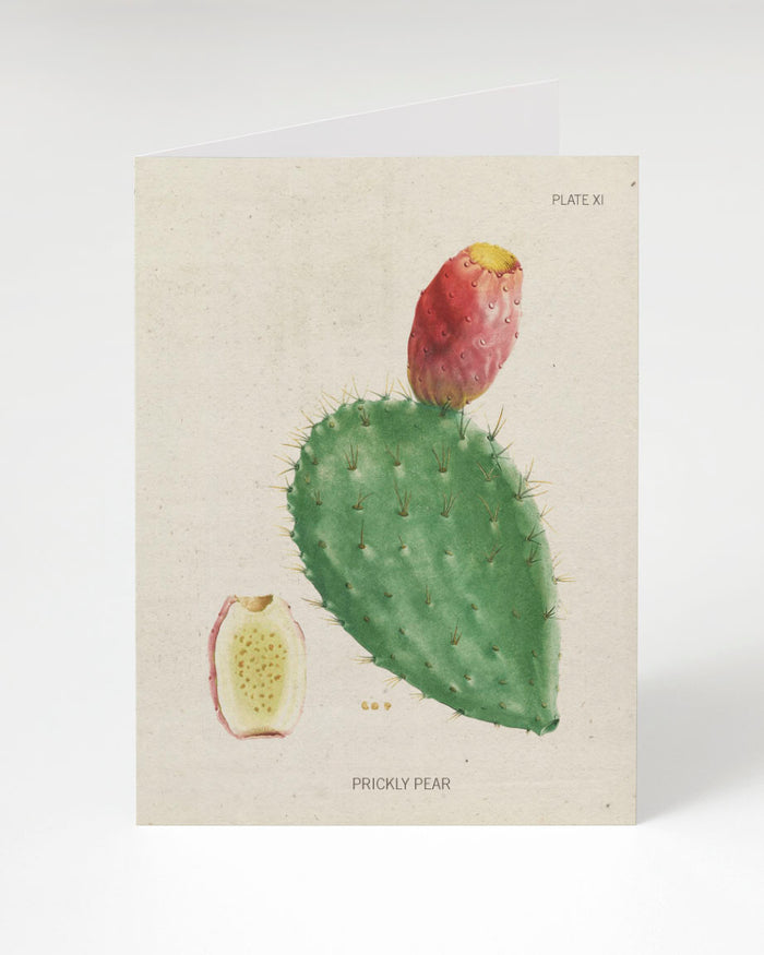 A Prickly Pear Cactus Fruit Card with a prickly cactus on it from Cognitive Surplus.