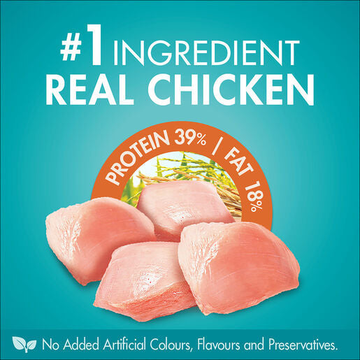 Purina ONE Cat Chicken