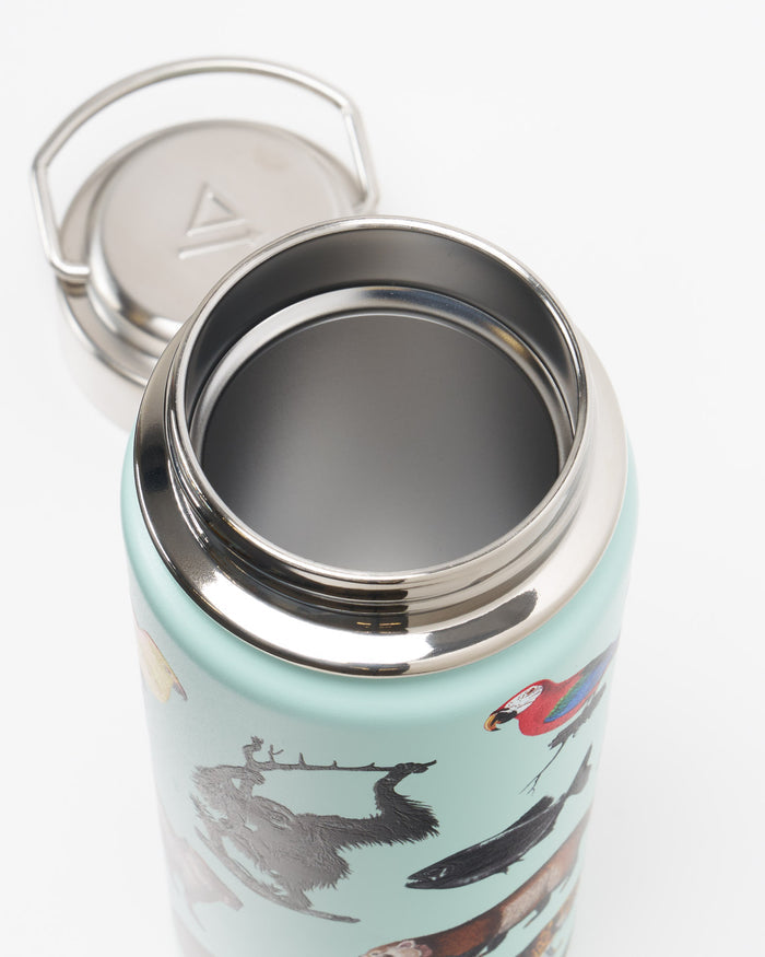 Rainforest Zoology 12 oz Steel Bottle