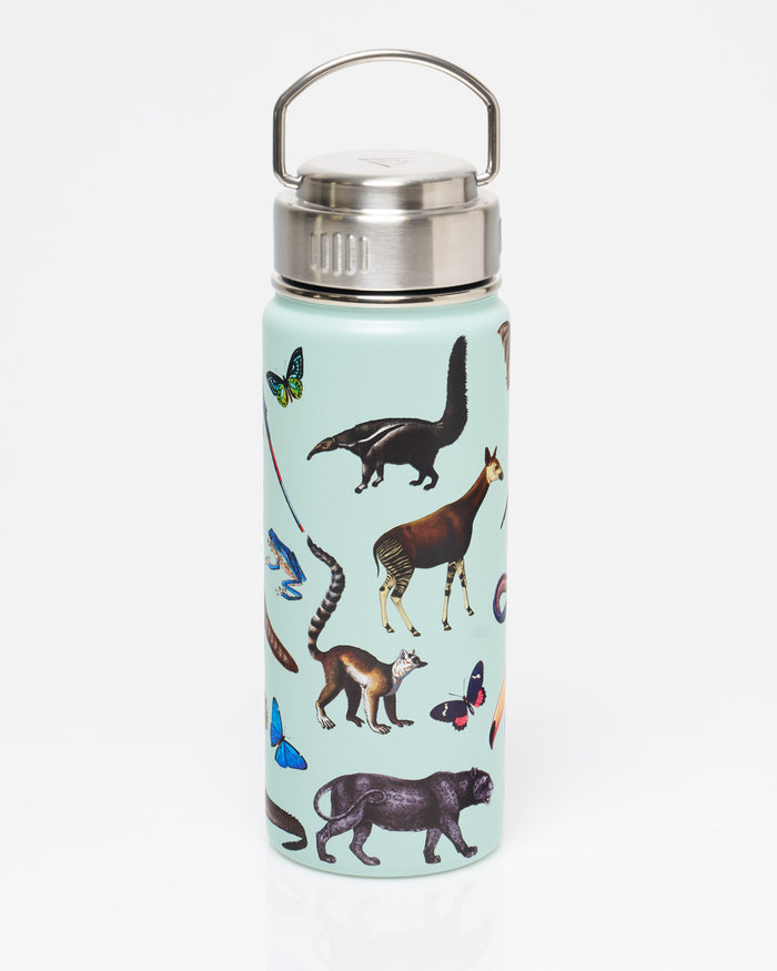 Rainforest Zoology 18 oz Steel Bottle
