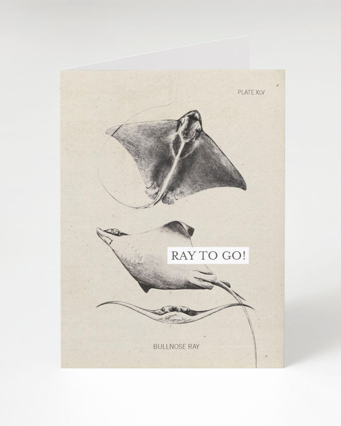 Cognitive Surplus Ray to Go! Card.