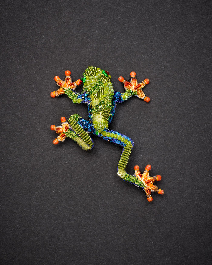 Red Eyed Tree Frog Brooch Pin - Trovelore