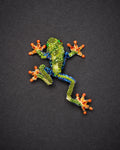 Red Eyed Tree Frog Brooch Pin - Trovelore