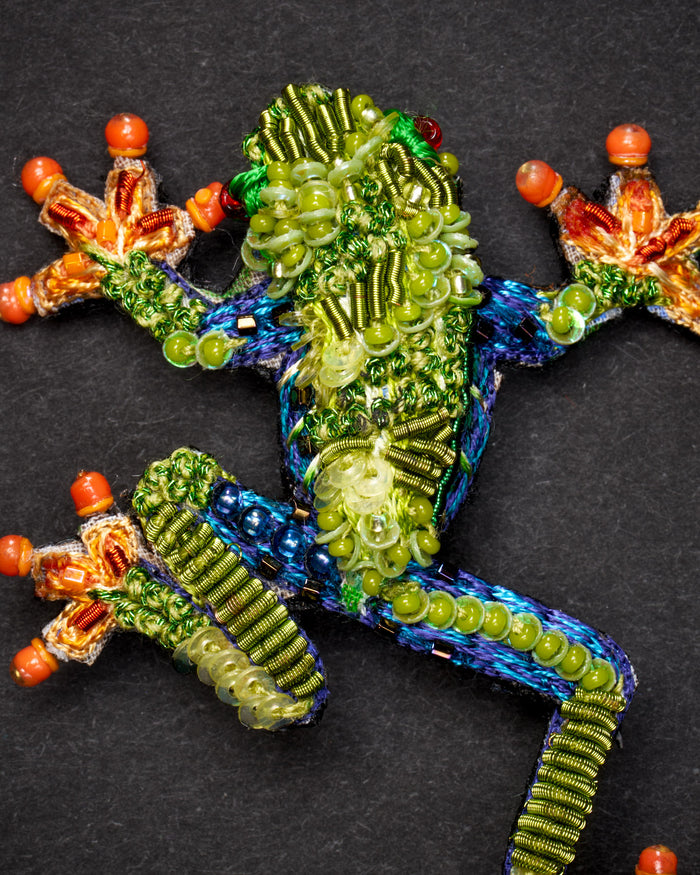 Red Eyed Tree Frog Brooch Pin - Trovelore