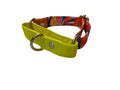 Red Hawaii Martingale Collar (1 inch width)