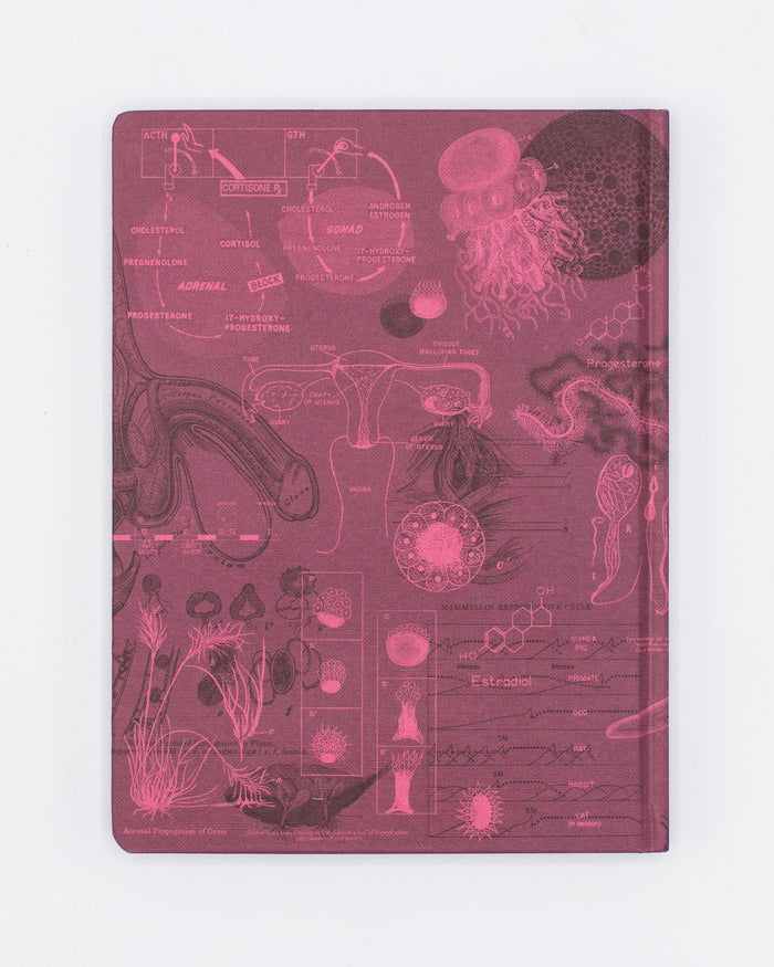 Reproduction Hardcover - Lined/Grid Cognitive Surplus