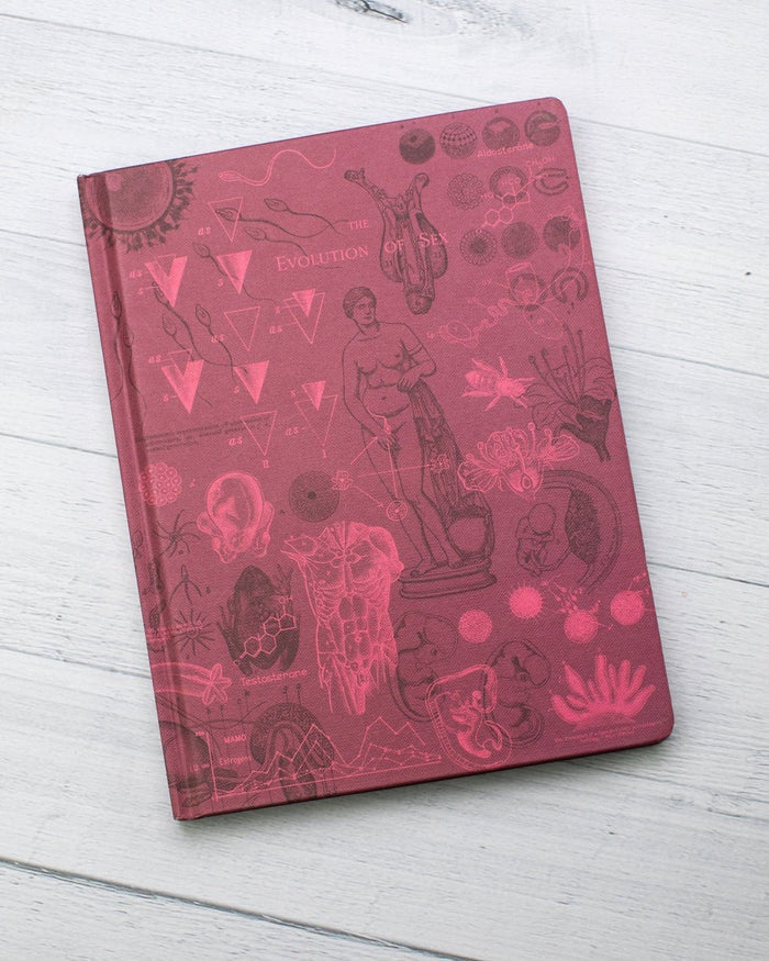 Reproduction Hardcover - Lined/Grid Cognitive Surplus