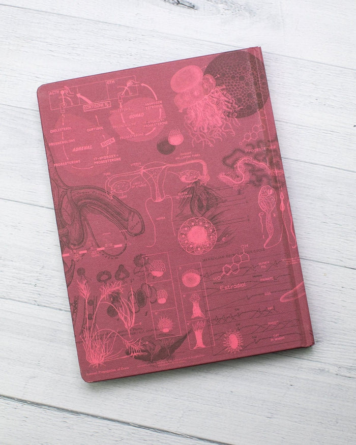 Reproduction Hardcover - Lined/Grid Cognitive Surplus