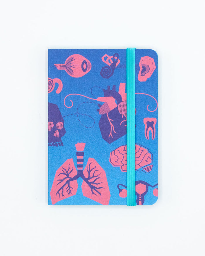Retro Anatomy Observation Softcover