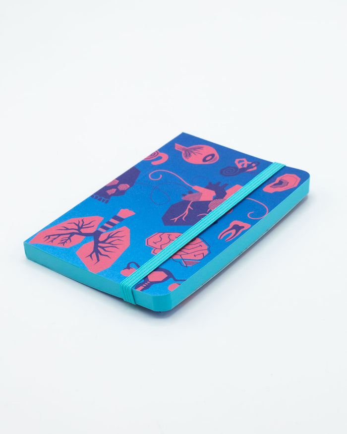 Retro Anatomy Observation Softcover