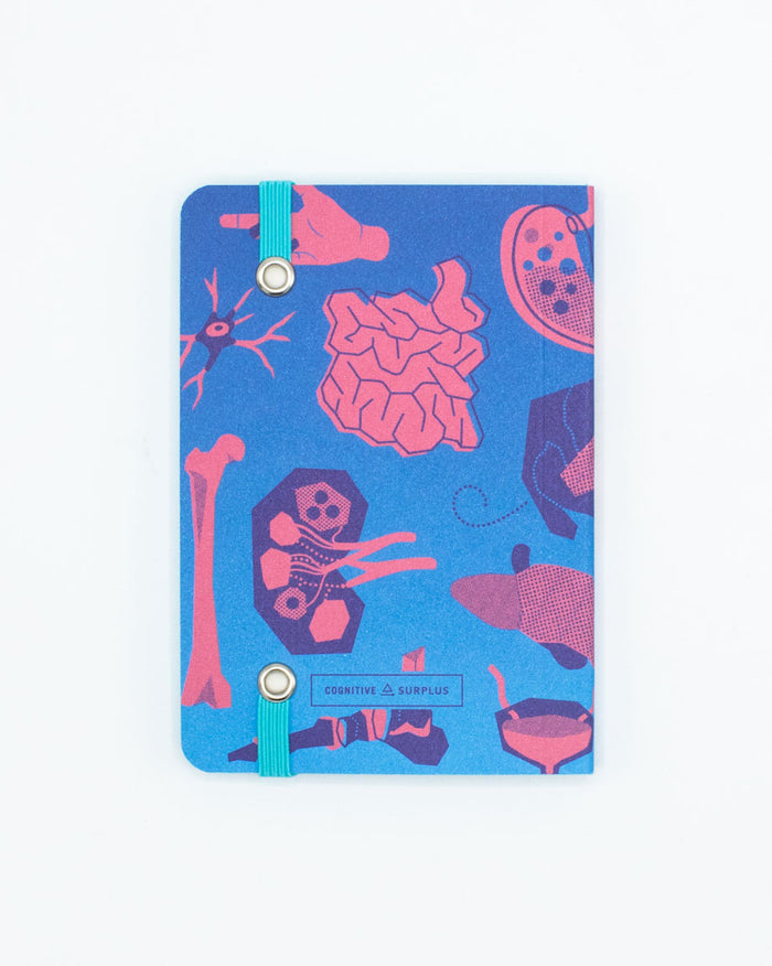Retro Anatomy Observation Softcover
