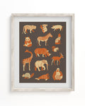 Retro Mammals Museum Print