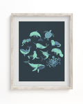 A Cognitive Surplus Retro Marine Life Museum Print with sea animals on a dark background.